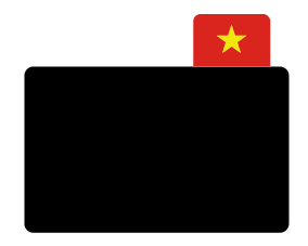 ProtopS, Vietnam